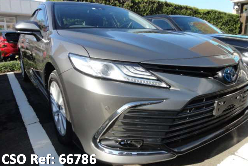 Toyota camry 2021 Gray