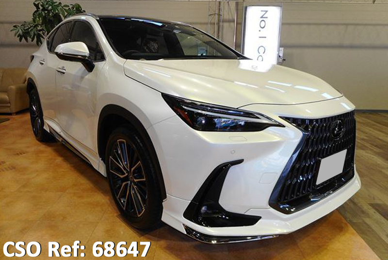 Lexus / NX250 2022