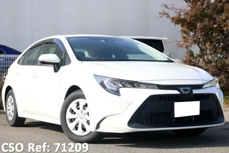 Toyota / Corolla 2019