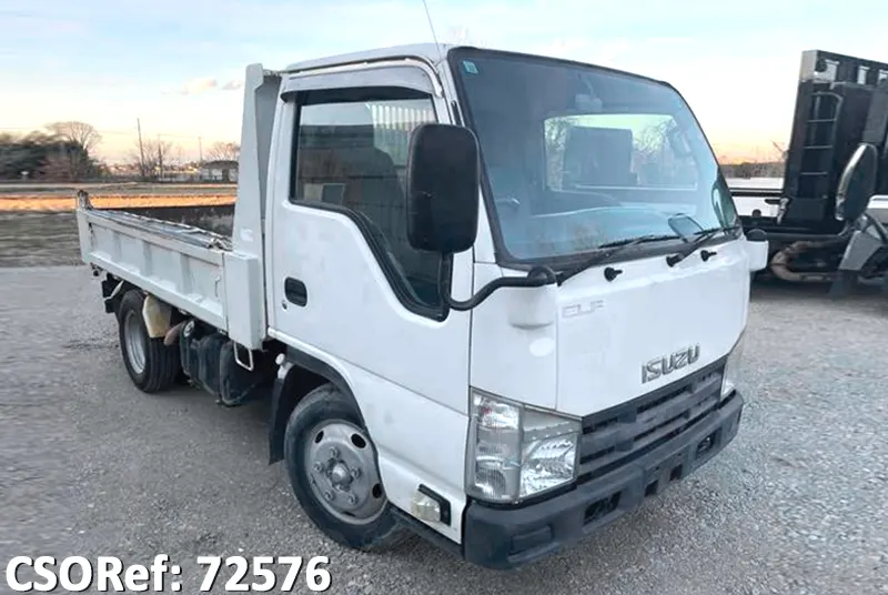 Isuzu / Elf 2010